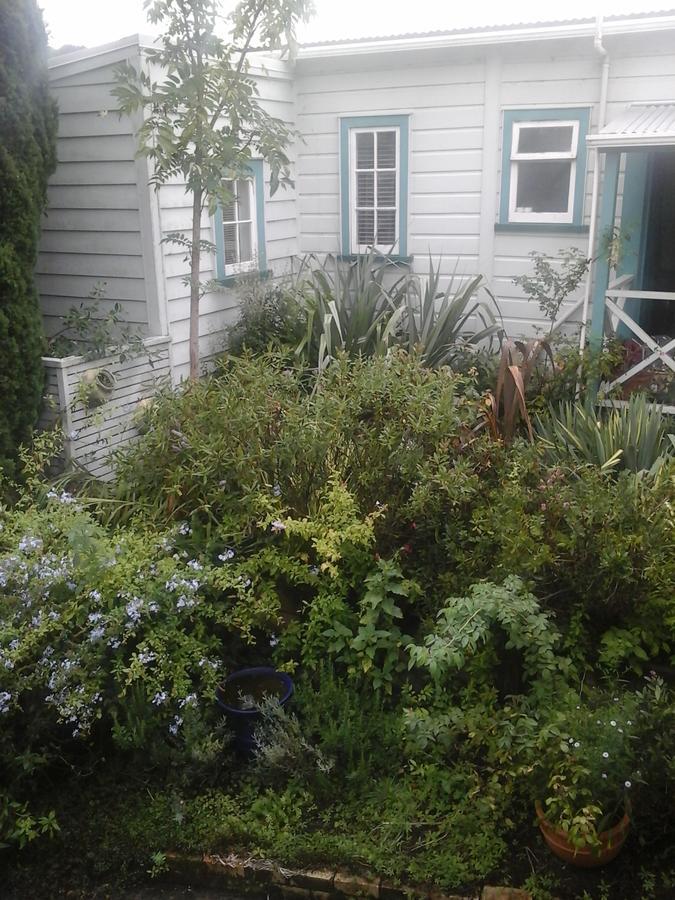 The Old Post Office Guesthouse B&B Paparoa Экстерьер фото