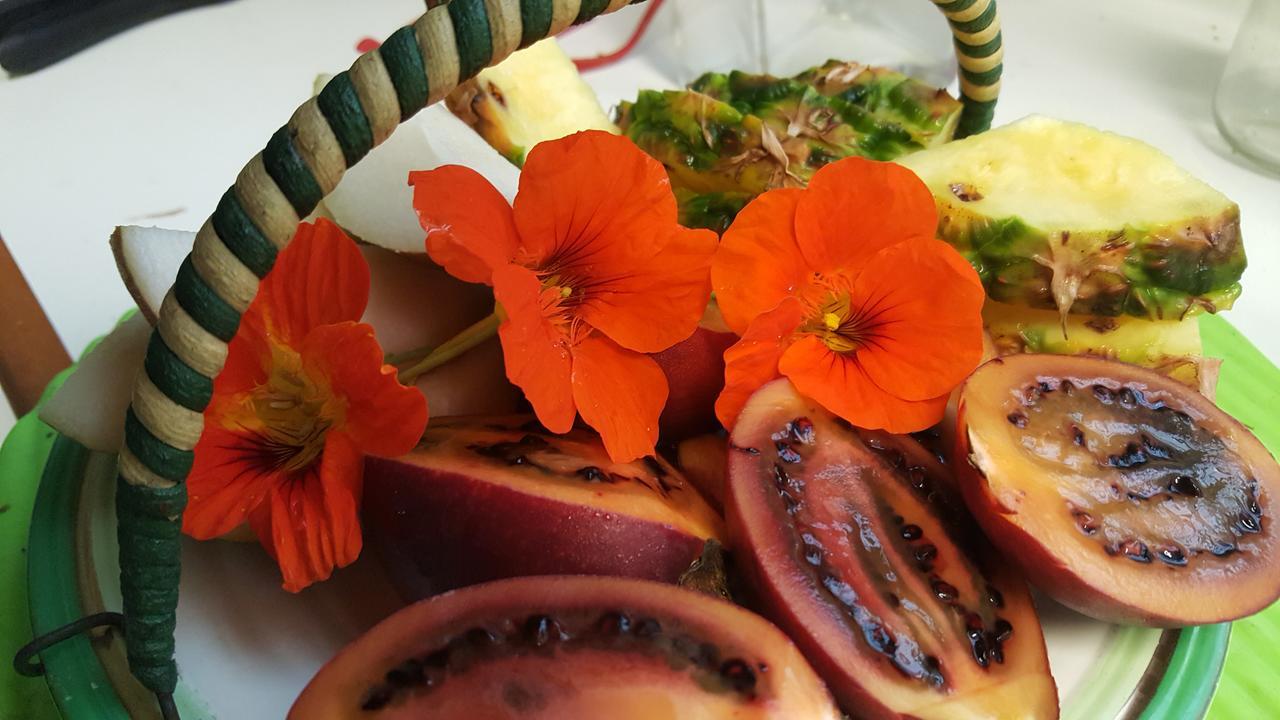 The Old Post Office Guesthouse B&B Paparoa Экстерьер фото